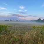 IMG_1205