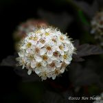 _KRH1804_0101
