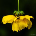 _Z720296-20220704