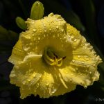 _Z720549-20220730