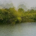 _Z721095_0101