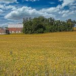 _Z721146_0101