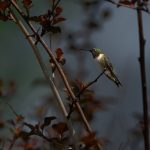 untitled-6264